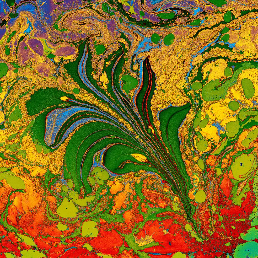 Taller libre intensivo